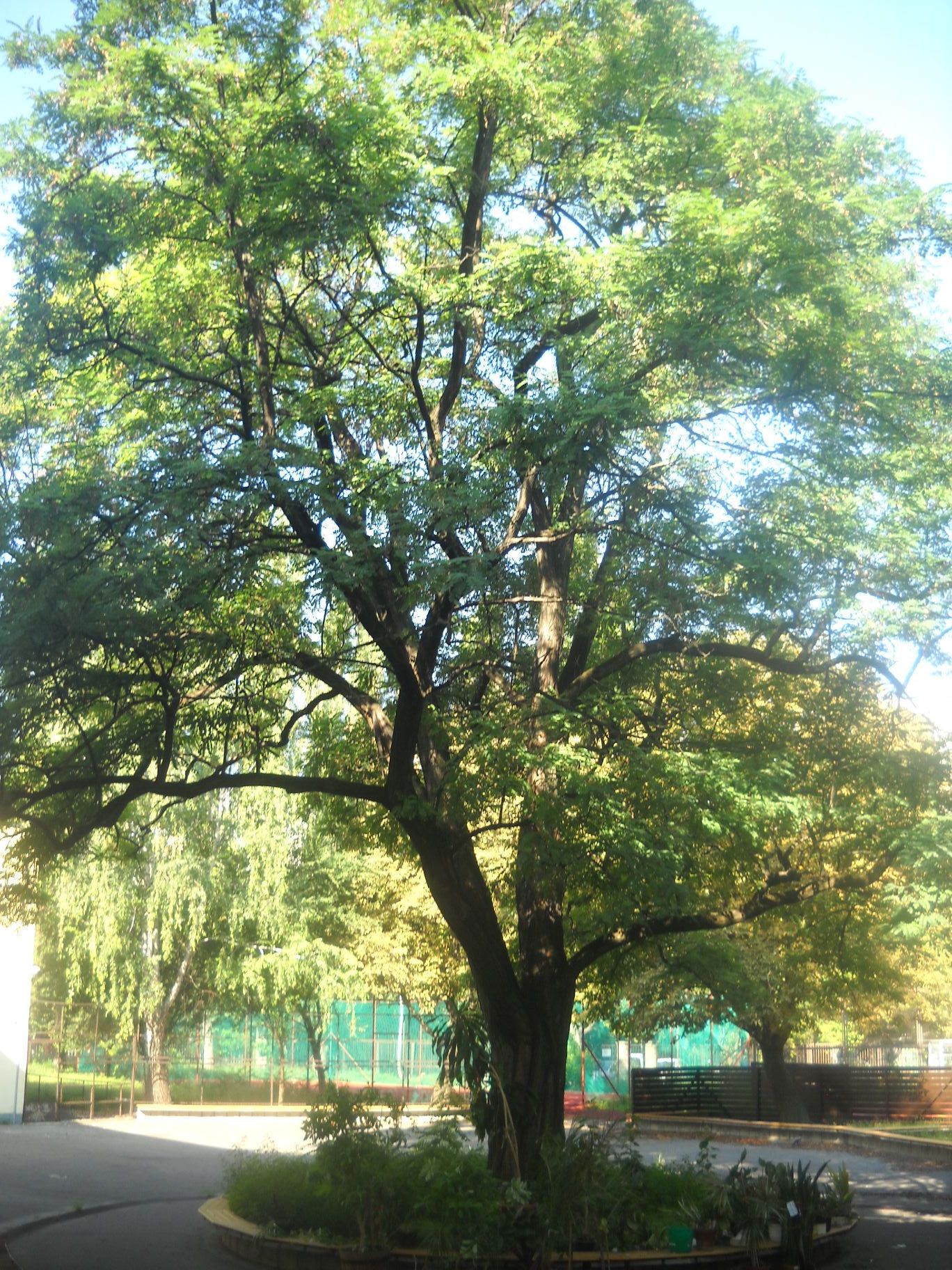 Photo of school